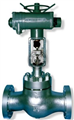 electric single-seat control valve